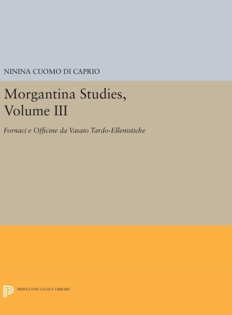 Morgantina Studies, Volume III - Fornaci e Officine da Vasaio Tardo-ellenistiche. (In Italian) (Late Hellenistic Potters' Kilns and Workshops)