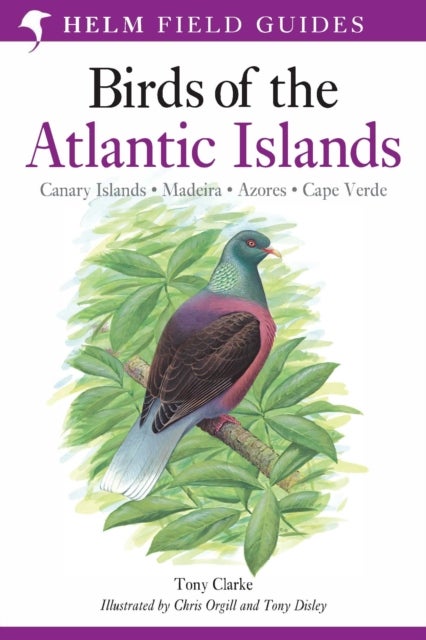A Field Guide to the Birds of the Atlantic Islands - Canary Islands, Madeira, Azores, Cape Verde