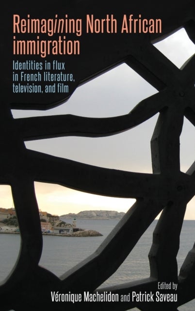 Reimagining North African immigration - Identities in Flux in French Literature, Television, and Film