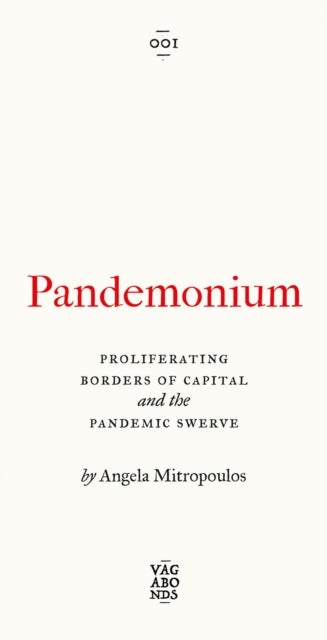 Pandemonium – Proliferating Borders of Capital and the Pandemic Swerve - Proliferating Borders of Capital and the Pandemic Swerve