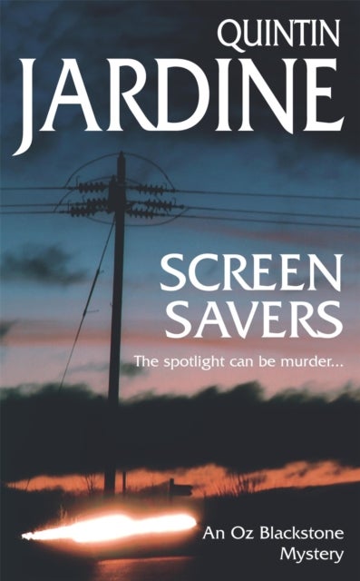 Screen Savers - An unputdownable mystery of kidnap and intrigue
