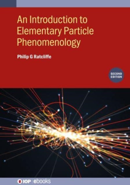 Introduction to Elementary Particle Phenomenology