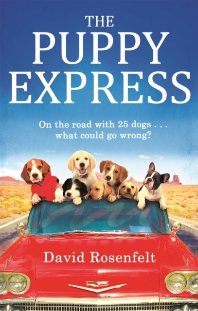 Puppy Express - On the road with 25 rescue dogs . . . what could go wrong?