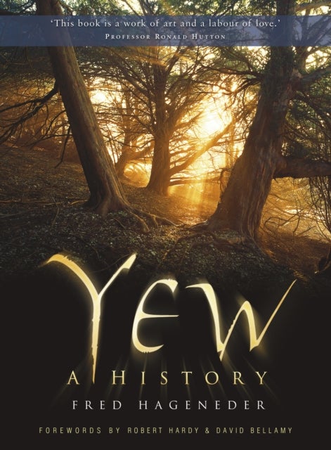 Yew - A History