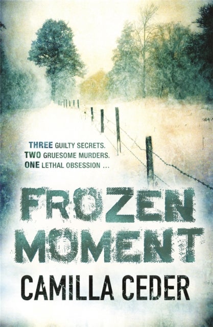 Frozen Moment - 'A good psychological crime novel that will appeal to fans of Wallander and Stieg Larsson' CHOICE