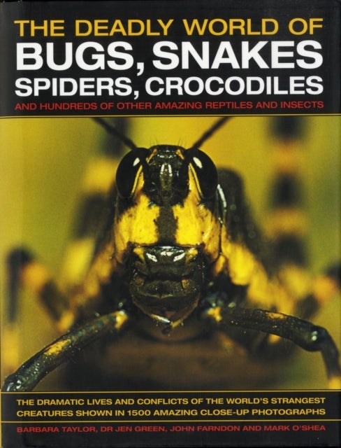 The Deadly World of Bugs, Snakes, Spiders, Crocodiles - Discover the Amazing World of Reptiles and Bugs, Featuring More Than 1500 Fabulous Wildlife Photographs and Illustrations