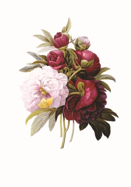 Memo Block: Redoute Peony - High-quality block of notepapers in a presentation cube box with built-in drawer
