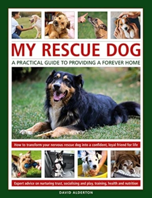 My Rescue Dog - How to understand and transform your nervous rescue dog into a happy, confident, loyal friend for life; Expert advice on nurturing trust, obedience training, socialising, health and nutrition, and learning to play