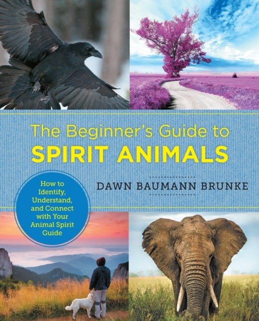 The Beginner''s Guide to Spirit Animals - How to Identify, Understand, and Connect with Your Animal Spirit Guide