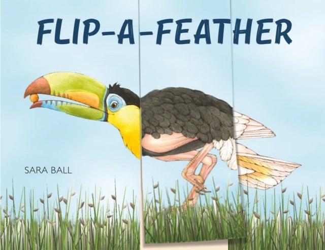 Flip-a-Feather - Make Your Own Wacky Bird!