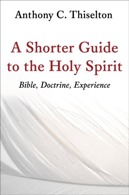 A Shorter Guide to the Holy Spirit - Bible, Doctrine, Experience