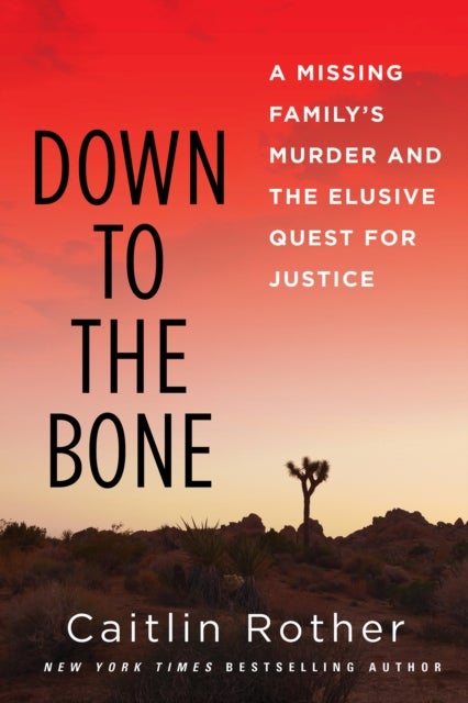 Down to the Bone - A Missing Familys Murder and the Elusive Quest for Justice