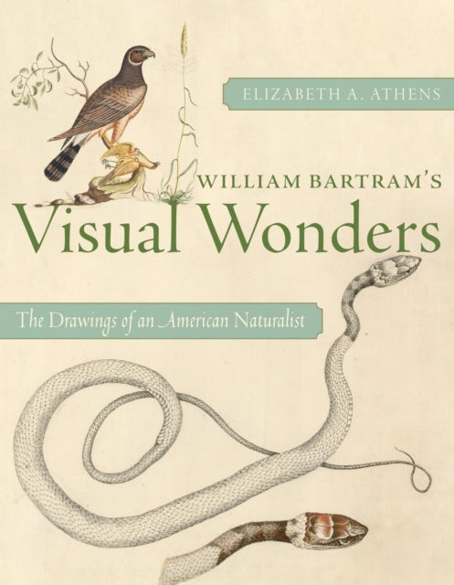 William Bartram''s Visual Wonders - The Botanical Drawings of an American Naturalist