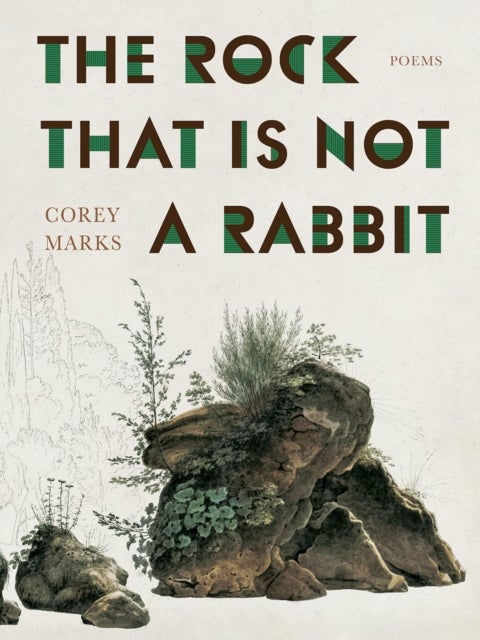 Rock That Is Not a Rabbit, The - Poems