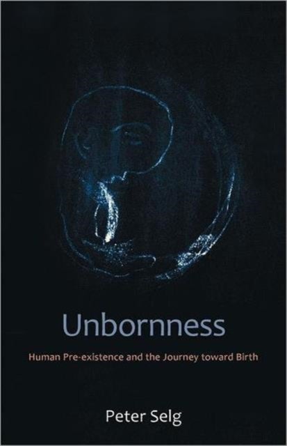 Unbornness - Human Pre-Existence and the Journey Toward Birth