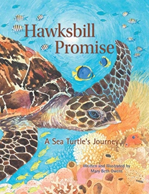 Hawksbill Promise – The Journey of an Endangered Sea Turtle - The Journey of an Endangered Sea Turtle