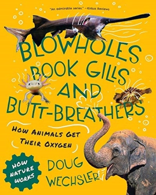 Blowholes, Book Gills, and Butt–Breathers – How Animals Get Their Oxygen - How Animals Get Their Oxygen