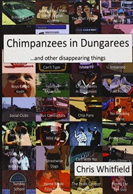 Chimpanzees in Dungarees - And Other Disappearing Things