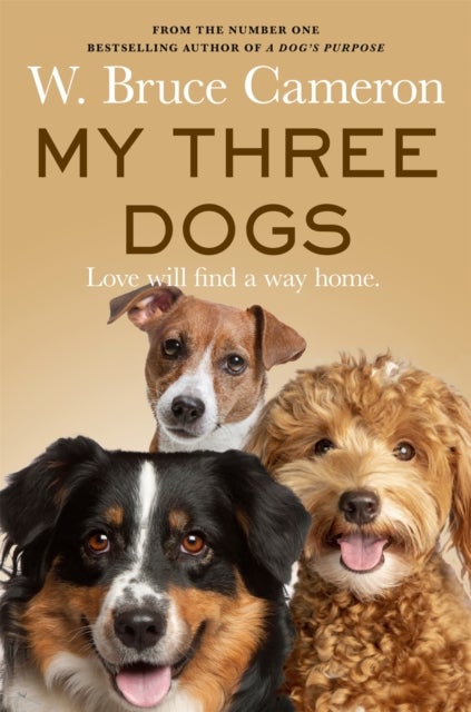 My Three Dogs - A Heartwarming Tale about Friendship, Family and Finding Home, from the Author of A Dog's Purpose