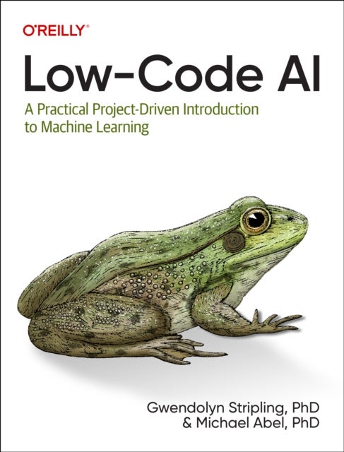 Low–Code AI