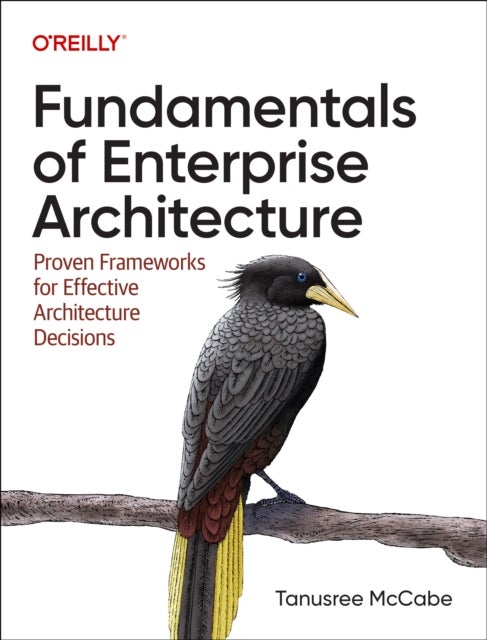 Fundamentals of Enterprise Architecture - Proven Frameworks for Effective Architecture Decisions