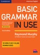 Basic Grammar in Use With Answers