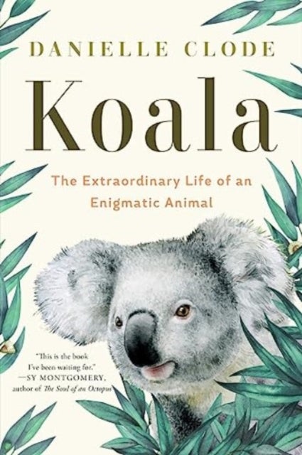 Koala – The Extraordinary Life of an Enigmatic Animal - The Extraordinary Life of an Enigmatic Animal