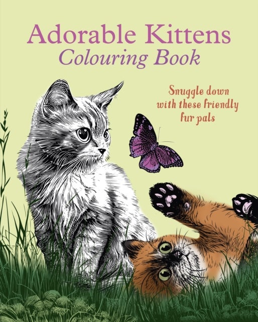 Adorable Kittens Colouring Book - Snuggle down with these friendly fur pals