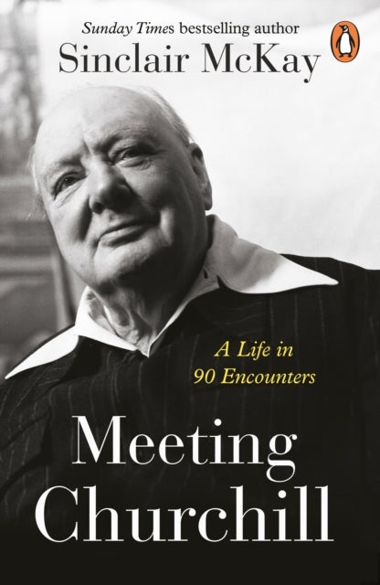 Meeting Churchill - A Life in 90 Encounters