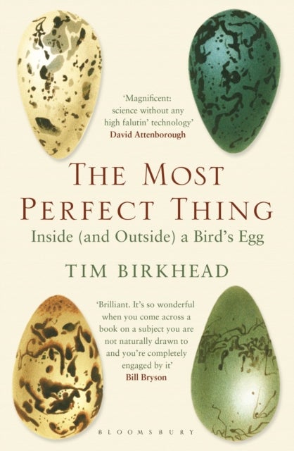 The Most Perfect Thing - Inside (and Outside) a Bird’s Egg