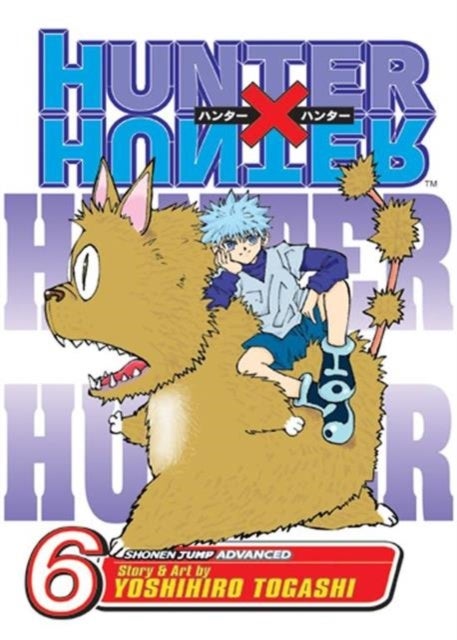 Hunter x Hunter, Vol. 6 - NEN SENSE