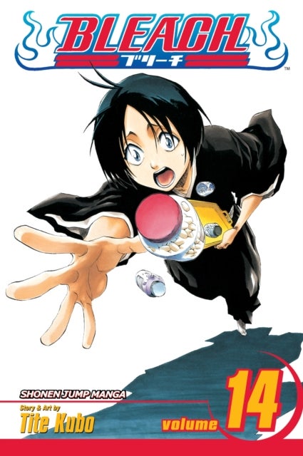 Bleach, Vol. 14 - White Tower Rocks