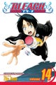 Bleach, Vol. 14