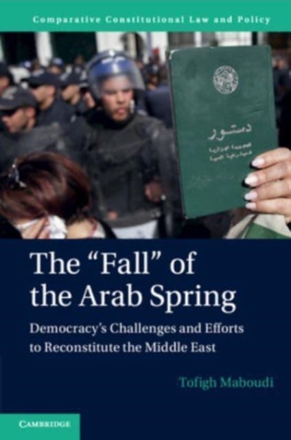 The "Fall" of the Arab Spring - Democracy's Challenges and Efforts to Reconstitute the Middle East