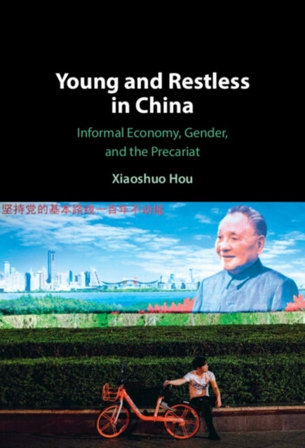 Young and Restless in China - Informal Economy, Gender, and the Precariat