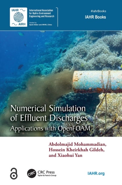 Numerical Simulation of Effluent Discharges - Applications with OpenFOAM