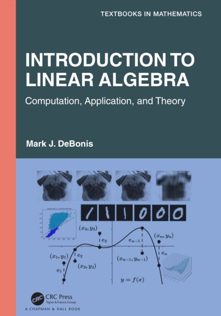 Introduction To Linear Algebra - Computation, Application, and Theory