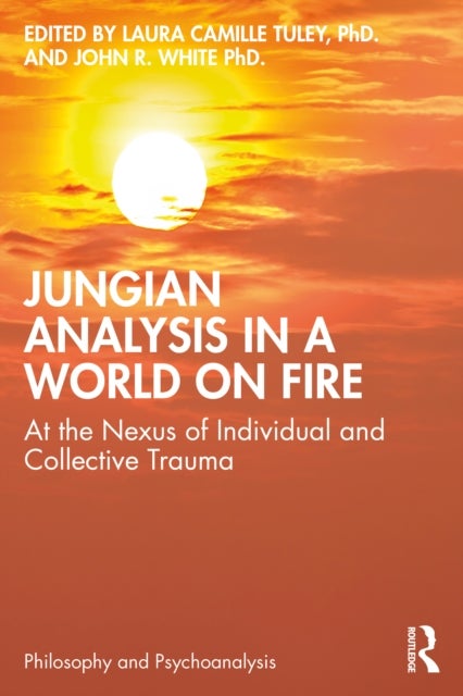 Jungian Analysis in a World on Fire - At the Nexus of Individual and Collective Trauma