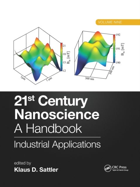 21st Century Nanoscience – A Handbook - Industrial Applications (Volume Nine)