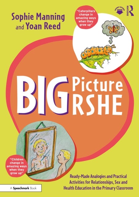 Big Picture Rshe - Ready-Made Analogies and Practical Activities for Relationships, Sex and Health Education in the Primary Classroom