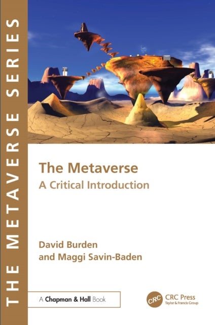 The Metaverse - A Critical Introduction