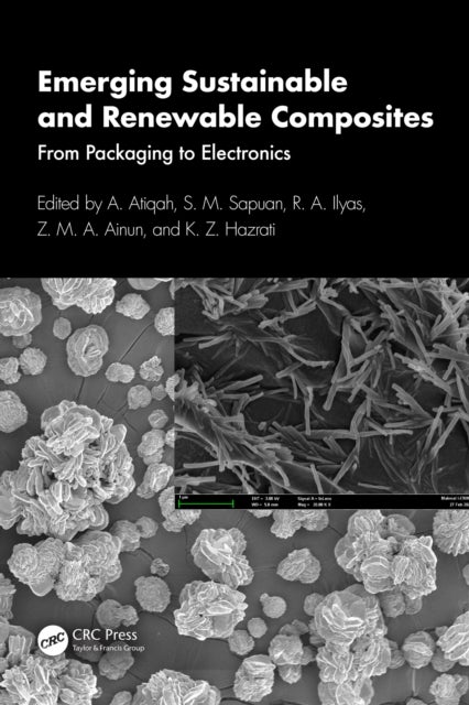 Emerging Sustainable and Renewable Composites - From Packaging to Electronics