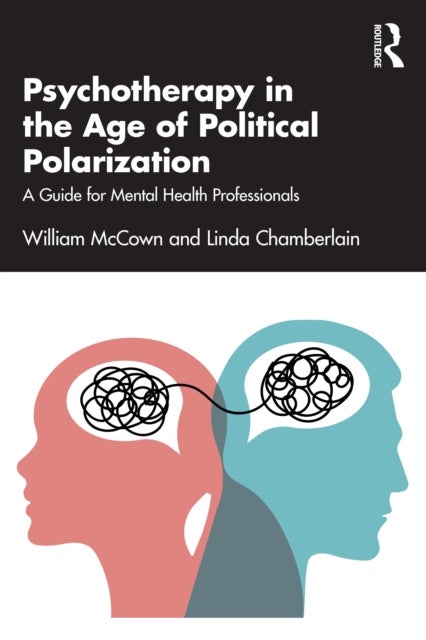 Psychotherapy in the Age of Political Polarization - A Guide for Mental Health Professionals