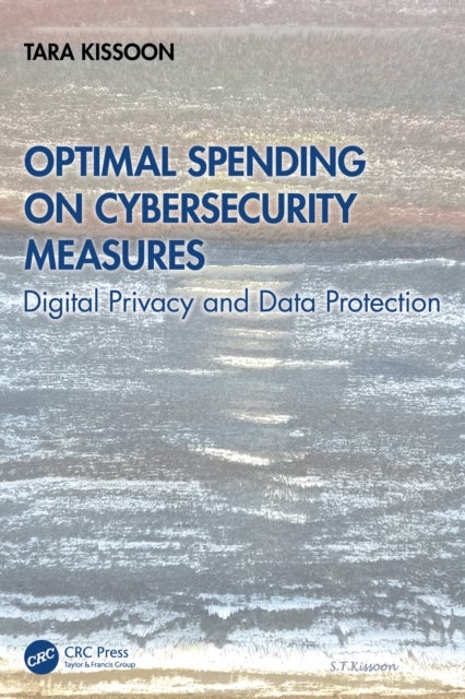 Optimum Spending on Cybersecurity Measures - Digital Privacy and Data Protection