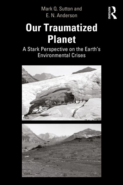 Our Traumatized Planet - A Stark Perspective on the Earth’s Environmental Crises