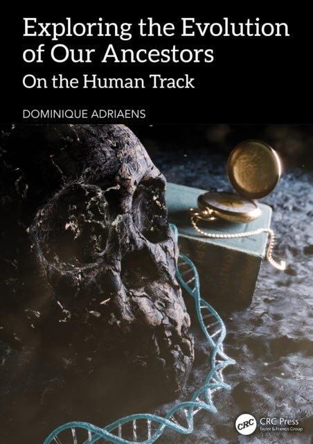 Exploring the Evolution of our Ancestors - On the Human Track