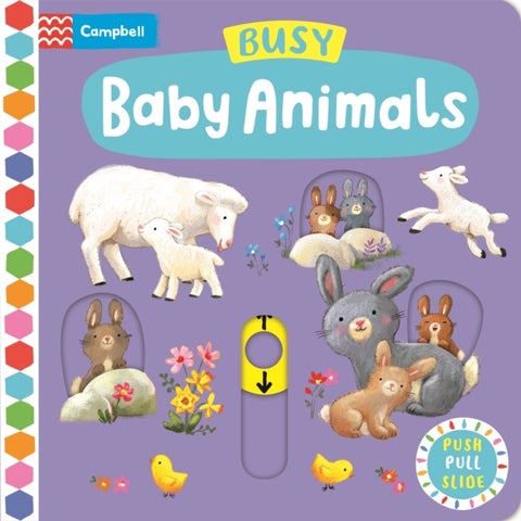 Busy Baby Animals - A Push, Pull, Slide Book