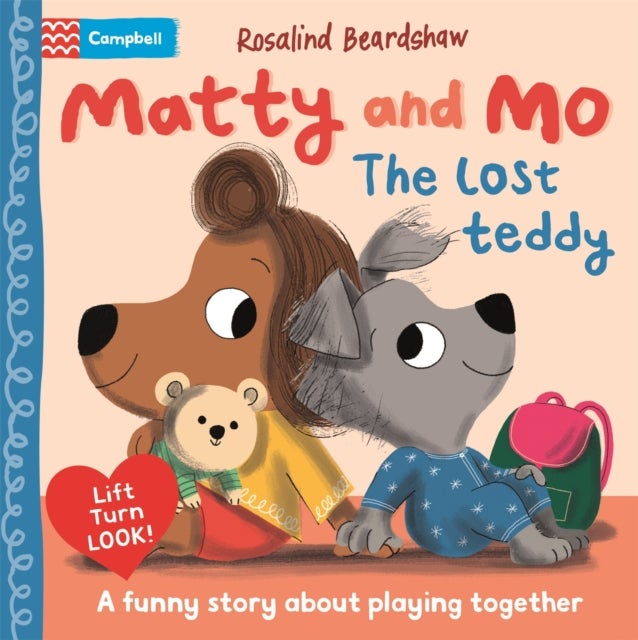 Lost Teddy - A funny lift-the-flap story about learning to play together