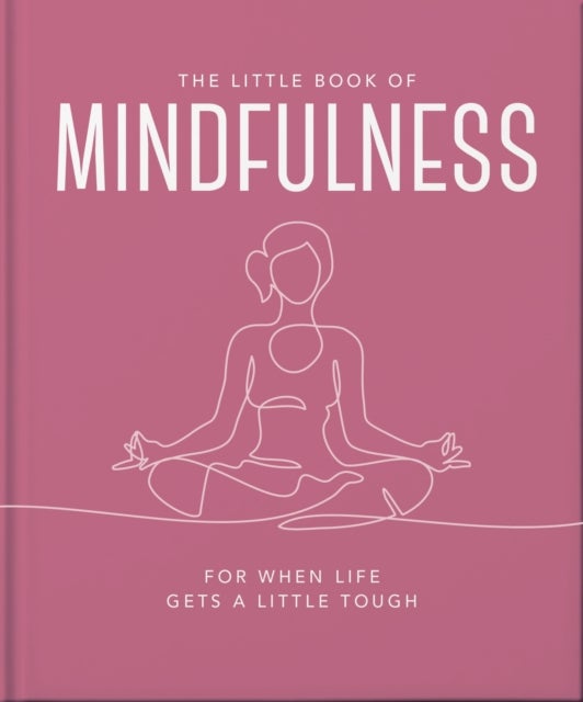 Little Book of Mindfulness - For When Life Gets a Little Tough