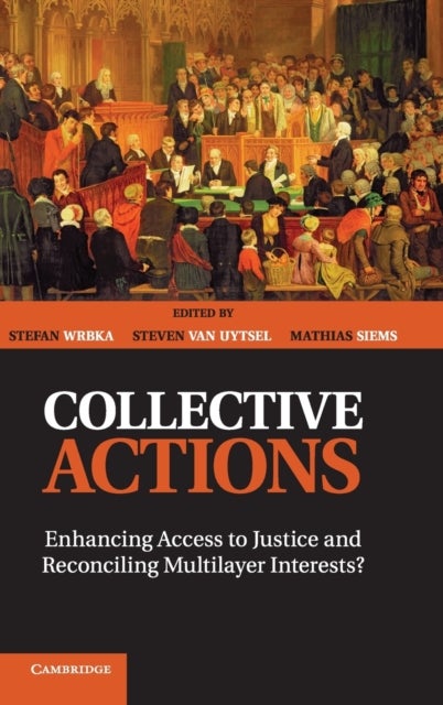 Collective Actions - Enhancing Access to Justice and Reconciling Multilayer Interests?